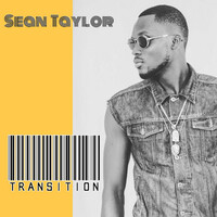 Thumbnail for the Sean Taylor - Transition link, provided by host site