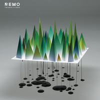 Thumbnail for the Remo - Transitions link, provided by host site