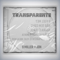 Thumbnail for the 9 Miller - Transparente link, provided by host site
