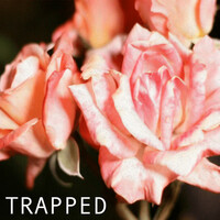 Thumbnail for the Madchild - Trapped link, provided by host site