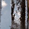 Thumbnail for the Figueroa - Trappel link, provided by host site