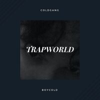 Thumbnail for the BOYCOLD - Trapworld link, provided by host site