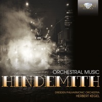 Thumbnail for the Davia Binder - Trauermusik for Viola and String Orchestra: II. Ruhig bewegt link, provided by host site