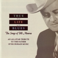 Thumbnail for the Peter Rowan - Travelin' This Lonesome Road link, provided by host site