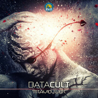 Thumbnail for the Datacult - Traveller link, provided by host site
