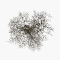 Thumbnail for the John Metcalfe - Tree link, provided by host site