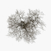 Thumbnail for the John Metcalfe - Tree link, provided by host site