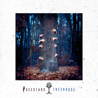Thumbnail for the I See Stars - Treehouse link, provided by host site