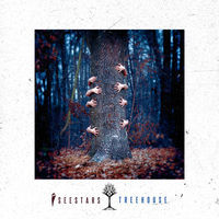 Thumbnail for the I See Stars - Treehouse link, provided by host site