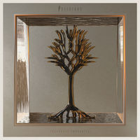 Thumbnail for the I See Stars - Treehouse (Acoustic) link, provided by host site