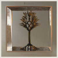 Thumbnail for the I See Stars - Treehouse (Acoustic) link, provided by host site
