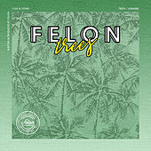 Thumbnail for the Felon - Trees link, provided by host site
