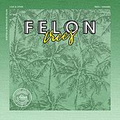 Thumbnail for the Felon - Trees link, provided by host site