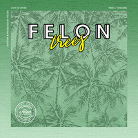 Image of Felon linking to their artist page due to link from them being at the top of the main table on this page