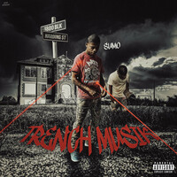 Thumbnail for the Sumo - Trench Musik link, provided by host site
