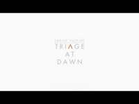 Thumbnail for the Ursine Vulpine - Triage At Dawn Cover - The Final Hours Of Half-Life: Alyx link, provided by host site