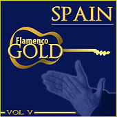 Thumbnail for the Tomatito - Triana (Martinete) link, provided by host site