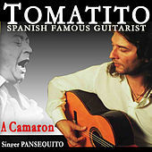 Thumbnail for the Pansequito - Triana - Martinete link, provided by host site