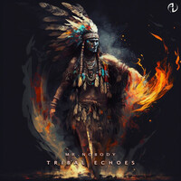 Thumbnail for the Mr. Nobody - Tribal Echoes link, provided by host site