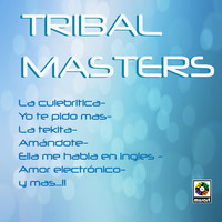 Thumbnail for the Ldc - Tribal Masters link, provided by host site