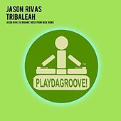 Thumbnail for the Jason Rivas - Tribaleah (Jason Rivas & Organic Noise From Ibiza Remix) link, provided by host site