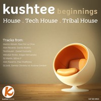 Thumbnail for the TecHouzer - Tribalian - Original Mix link, provided by host site