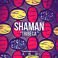 Thumbnail for the shaMan - Tribeca link, provided by host site