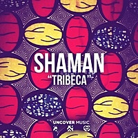 Image of shaMan linking to their artist page due to link from them being at the top of the main table on this page