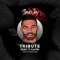 Thumbnail for the David Jay - Tribute link, provided by host site