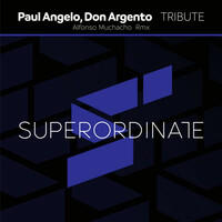 Thumbnail for the Paul Angelo - Tribute link, provided by host site