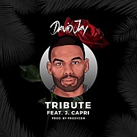 Thumbnail for the David Jay - Tribute link, provided by host site