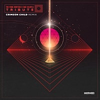 Thumbnail for the The Funk Hunters - Tribute (Crimson Child Remix) link, provided by host site