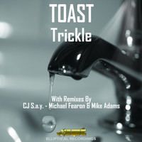 Thumbnail for the Toast - Trickle link, provided by host site