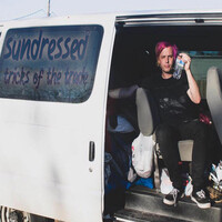 Thumbnail for the Sundressed - Tricks of the Trade link, provided by host site