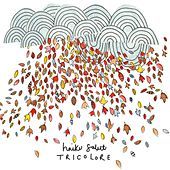 Thumbnail for the Haiku Salut - Tricolore link, provided by host site