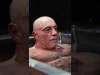 Thumbnail for the Action Bronson - TRIES @joerogan'S WORKOUT ROUTINE link, provided by host site