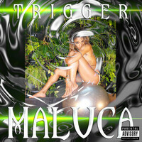 Thumbnail for the Maluca - Trigger (Remixes) link, provided by host site