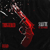 Thumbnail for the Salute - Triggered link, provided by host site