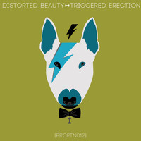 Thumbnail for the Distorted Beauty - Triggered Erection link, provided by host site