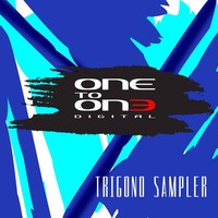 Thumbnail for the Danny Nz - Trigono Sampler link, provided by host site