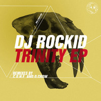 Thumbnail for the DJ Rockid - Trinity link, provided by host site