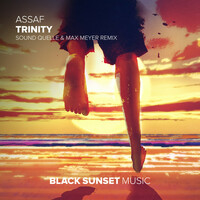 Thumbnail for the Assaf - Trinity (Sound Quelle & Max Meyer Remix) link, provided by host site