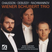 Thumbnail for the Ernest Chausson - Trio in G Minor, Op. 3 link, provided by host site