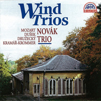 Thumbnail for the Francois Devienne - Trio No. 1, Op. 27: II. Rondo - Moderato link, provided by host site