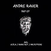Image of Andre Rauer linking to their artist page due to link from them being at the top of the main table on this page