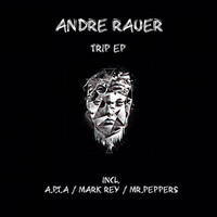 Thumbnail for the Andre Rauer - Trip link, provided by host site