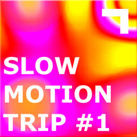 Thumbnail for the Paradigma - Trip link, provided by host site