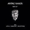 Thumbnail for the Andre Rauer - Trip link, provided by host site