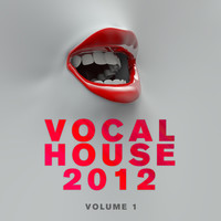 Thumbnail for the StoneBridge - Trip'en - Album Mix link, provided by host site