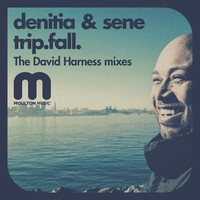 Thumbnail for the Denitia - Trip.fall link, provided by host site